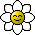 :flower: