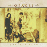 Perfect View album cover