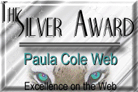 Silver Award